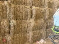 55 SQUARE BALES OF 2026 HAY - 6