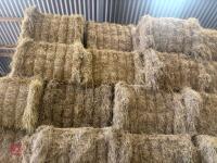 55 SQUARE BALES OF 2026 HAY - 7