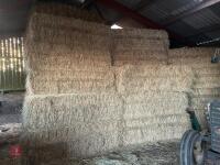 40 SQUARE BALES OF 2026 MEADOW HAY
