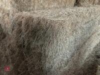 40 SQUARE BALES OF 2026 MEADOW HAY - 5