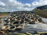 400T OF 1ST CUT 2026 CLAMP SILAGE - 2