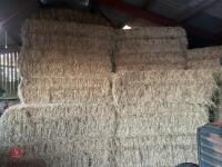 40 SQUARE BALES OF 2026 MEADOW HAY - 2