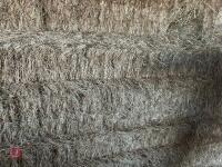 40 SQUARE BALES OF 2026 MEADOW HAY - 4