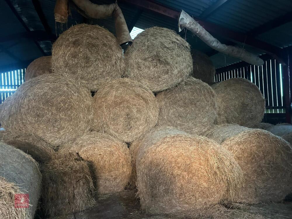 25 ROUND BALES OF 2026 HAY