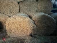 25 ROUND BALES OF 2026 HAY - 2
