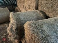 25 ROUND BALES OF 2026 HAY - 5