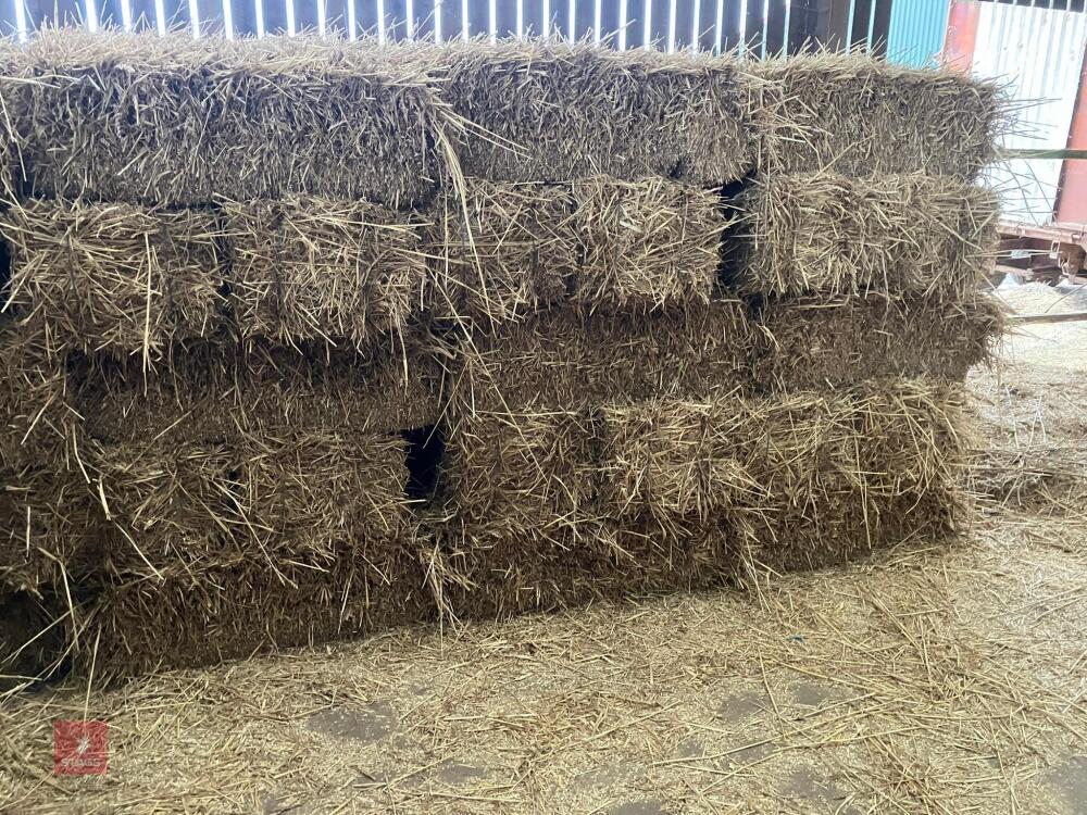 100 CONVENTIONAL BALES OF WHEAT STRAW