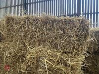 100 CONVENTIONAL BALES OF WHEAT STRAW - 2