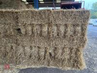 100 CONVENTIONAL BALES OF WHEAT STRAW - 4
