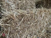 50 CONVENTIONAL BALES OF WHEAT STRAW - 5