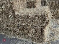 50 CONVENTIONAL BALES OF WHEAT STRAW - 3