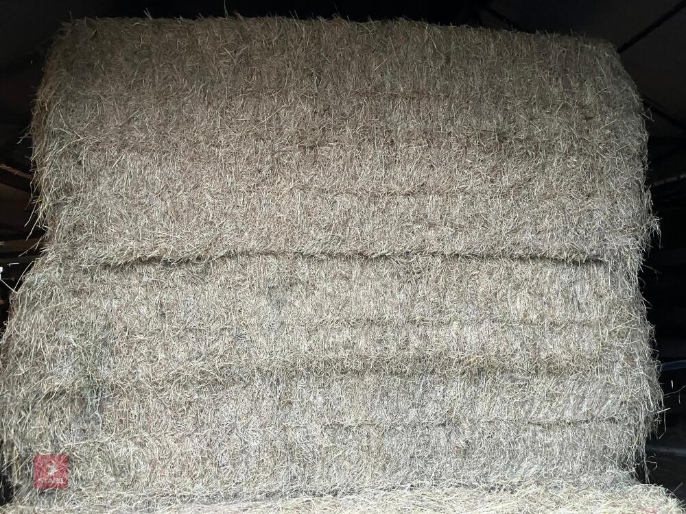 25 RECTANGULAR BALES OF 2026 HAY - BIDS PER BALE