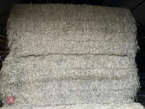 25 RECTANGULAR BALES OF 2026 HAY