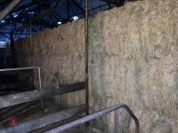 25 RECTANGULAR BALES OF 2026 HAY - BIDS PER BALE - 5