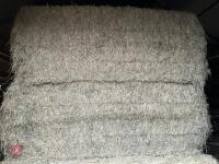 25 RECTANGULAR BALES OF 2026 HAY