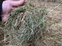 25 RECTANGULAR BALES OF 2026 HAY - 2