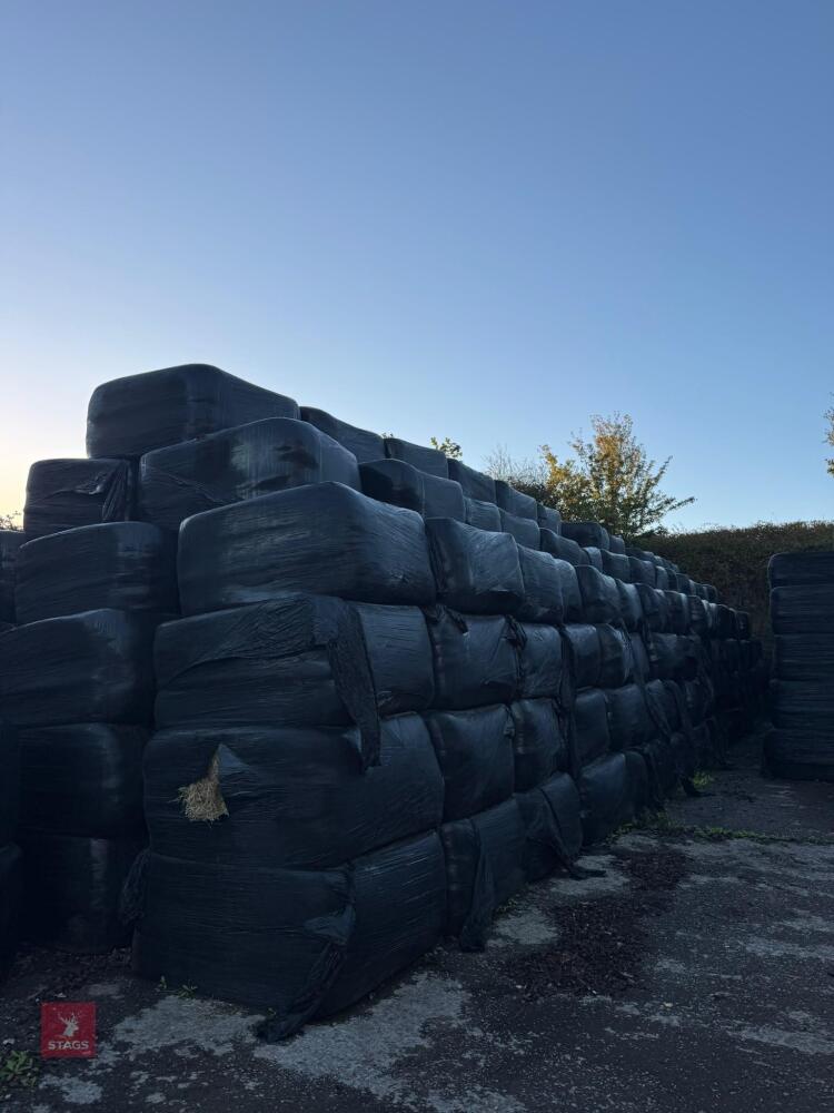 50 SQUARE BALES OF 2026 HAYLAGE - BIDS PER BALE