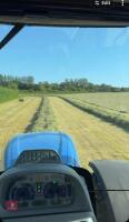 50 SQUARE BALES OF 2026 HAYLAGE - 5