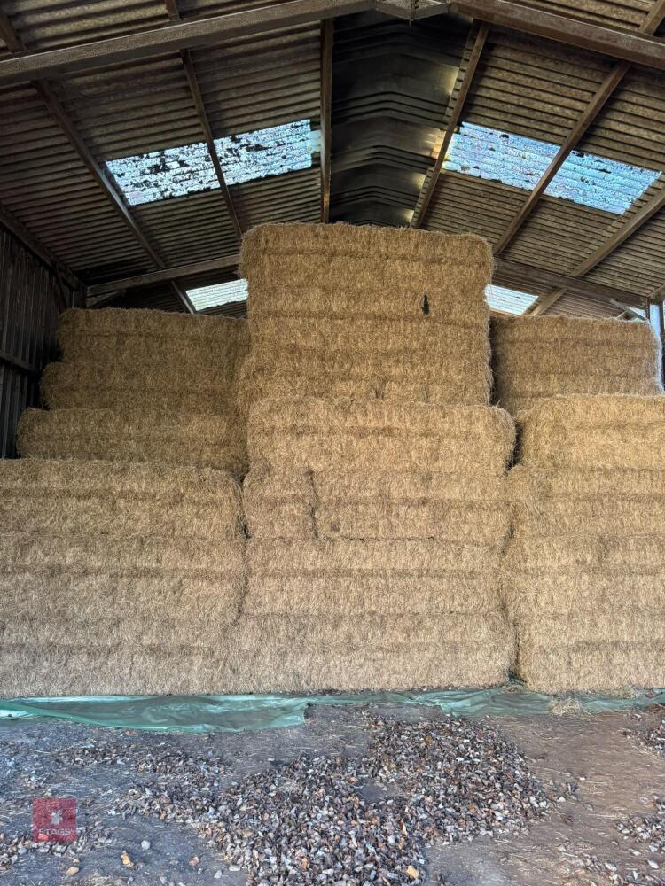 35 SQUARE BALES OF 2026 HAY