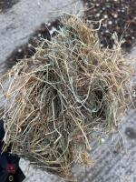 35 SQUARE BALES OF 2026 HAY - 2