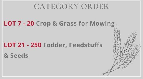 SOUTH WEST SALE LOT CATEGORIES