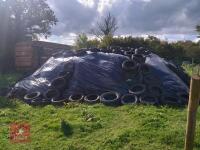 CLAMP OF 2026 GRASS SILAGE