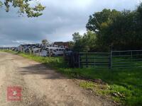 CLAMP OF 2026 GRASS SILAGE - 3