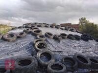 CLAMP OF 2026 GRASS SILAGE - 4
