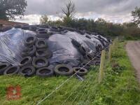 CLAMP OF 2026 GRASS SILAGE - 6