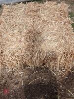 50 CONVENTIONAL BALES OF WHEAT STRAW - 2