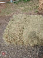 25 CONVENTIONAL BALES OF MEADOW HAY - 2