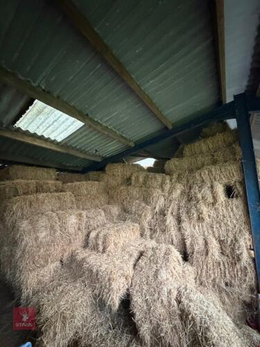 100 CONVENTIONAL BALES OF 2026 HAY