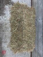 100 CONVENTIONAL BALES OF 2026 HAY - 2