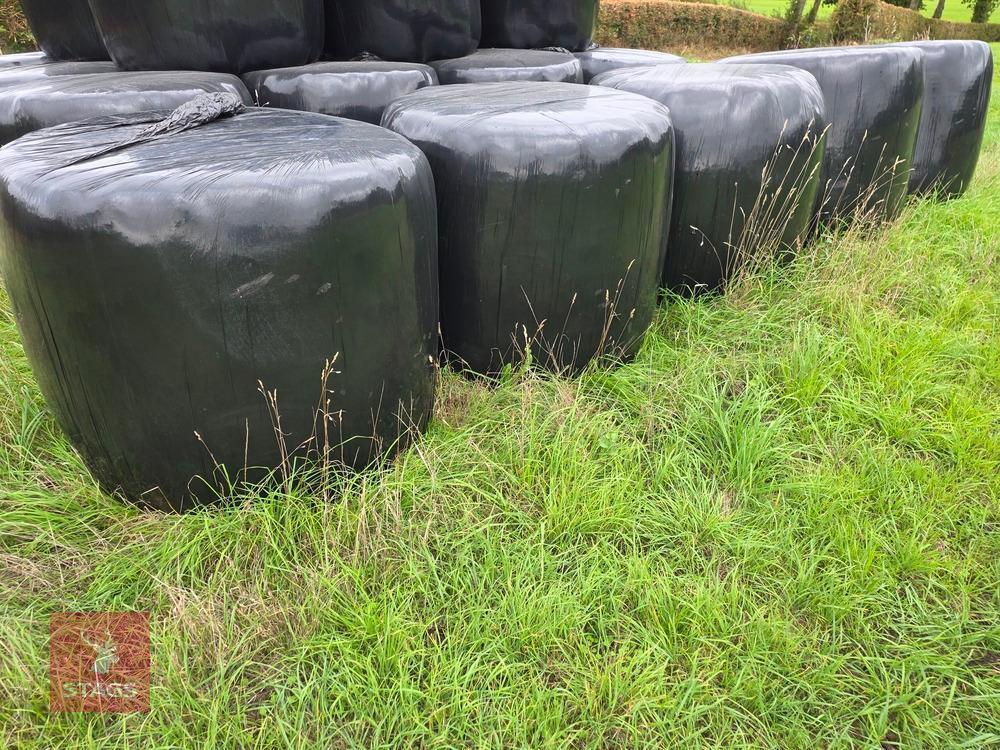 5 ROUND BALES OF 2026 HAYLAGE