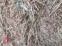 10 SQUARE BALES OF 2026 HAY - 2