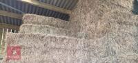 10 SQUARE BALES OF 2026 HAY