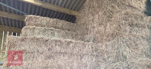 10 SQUARE BALES OF 2026 HAY