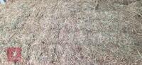 10 SQUARE BALES OF 2026 HAY - 3
