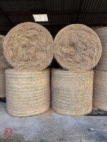 10 ROUND BALES OF 2026 HAY - 3