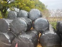 40 ROUND BALES OF 1ST CUT 2026 SILAGE - BIDS PER BALE - 8