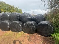 55 ROUND BALES OF 3RD CUT 2026 SILAGE - BIDS PER BALE - 5