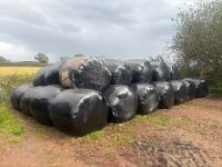 55 ROUND BALES OF 3RD CUT 2026 SILAGE - BIDS PER BALE - 6