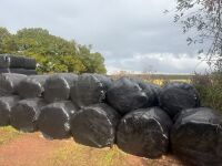 55 ROUND BALES OF 3RD CUT 2026 SILAGE - BIDS PER BALE - 7