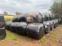 55 ROUND BALES OF 3RD CUT 2026 SILAGE - BIDS PER BALE - 9