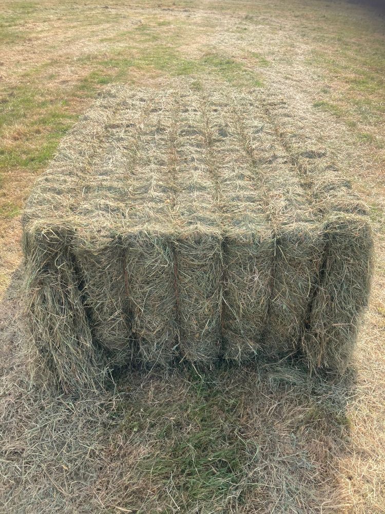 50 RECTANGULAR BALES OF HAY (PER BALE)