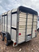 IFOR WILLIAMS 10FT LIVESTOCK TRAILER - 2