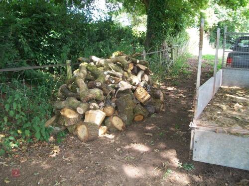 OAK FIRE WOOD