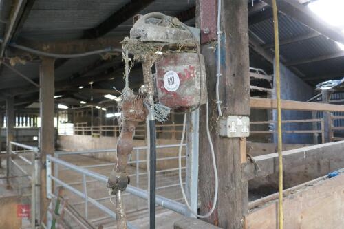 LISTER SHEARING MOTOR