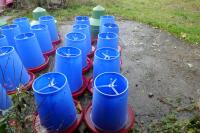 10 MINOLA FEEDERS WITH RAIN HATS - 2