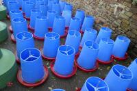 10 MINOLA FEEDERS WITH RAIN HATS - 2